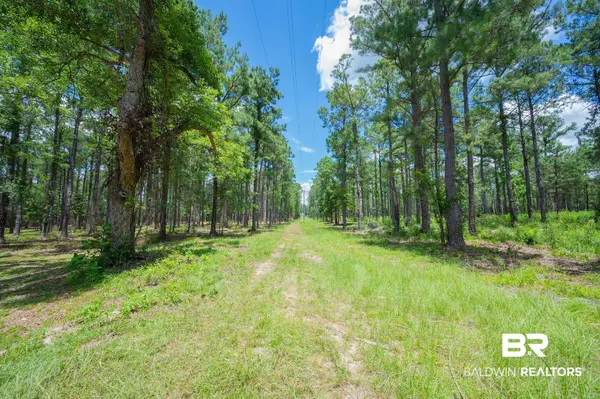0 County Road 86, Bay Minette, AL 36507