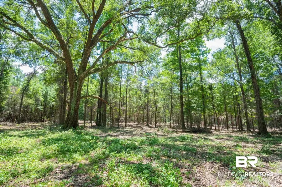 0 County Road 86, Bay Minette, AL 36507 - #2