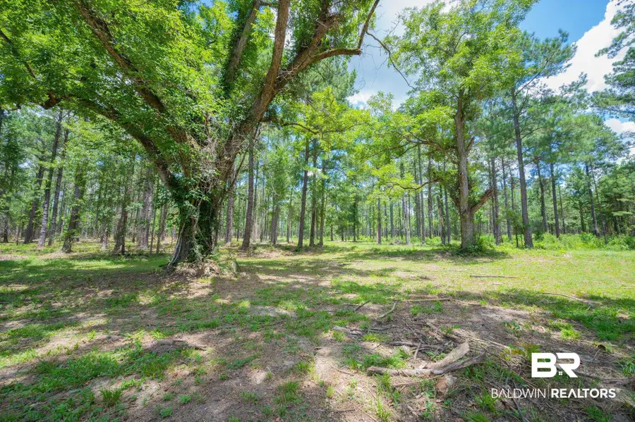 0 County Road 86, Bay Minette, AL 36507 - #3
