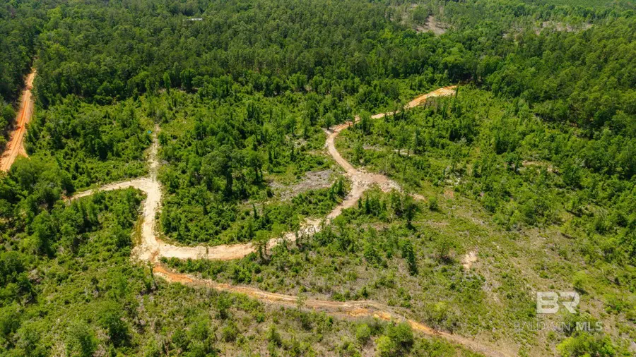 0 Joe Hall Road, Bay Minette, AL 36507 - #2