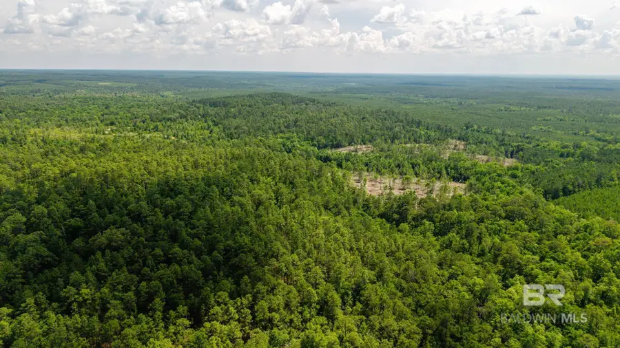 0 Joe Hall Road, Bay Minette, AL 36507 - #3