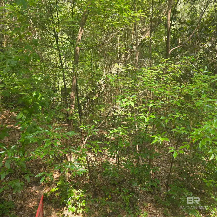 1.62 Acres Sweet Magnolia Lane, Magnolia Springs, AL 36555 - #2