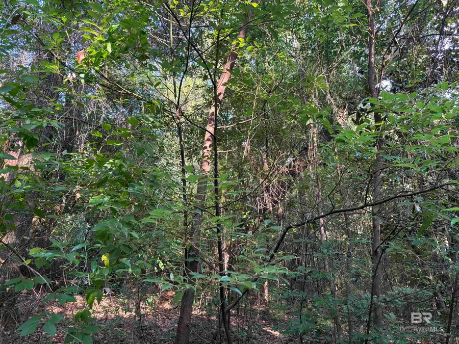 1.62 Acres Sweet Magnolia Lane, Magnolia Springs, AL 36555 - #3