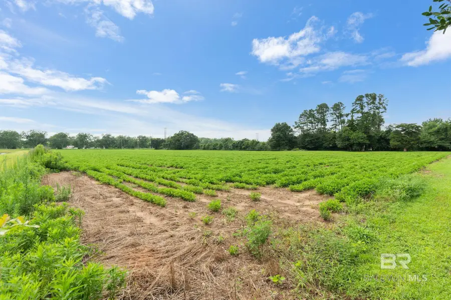 21379 West Boulevard, Silverhill, AL 36576 - #3