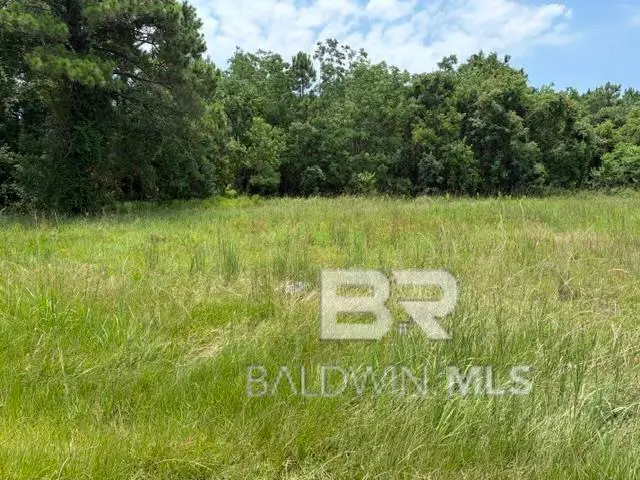 16818 Patricia Drive, Gulf Shores, AL 36542 - #3