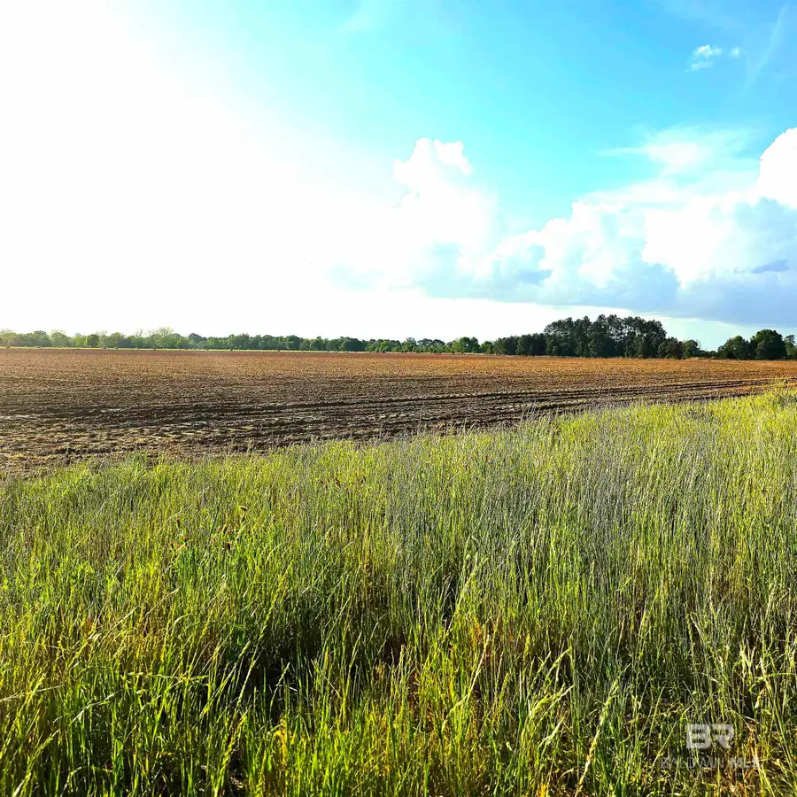0 Ross Road, Atmore, AL 36502 - #2