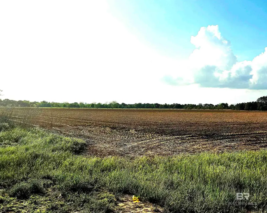 0 Ross Road, Atmore, AL 36502 - #3
