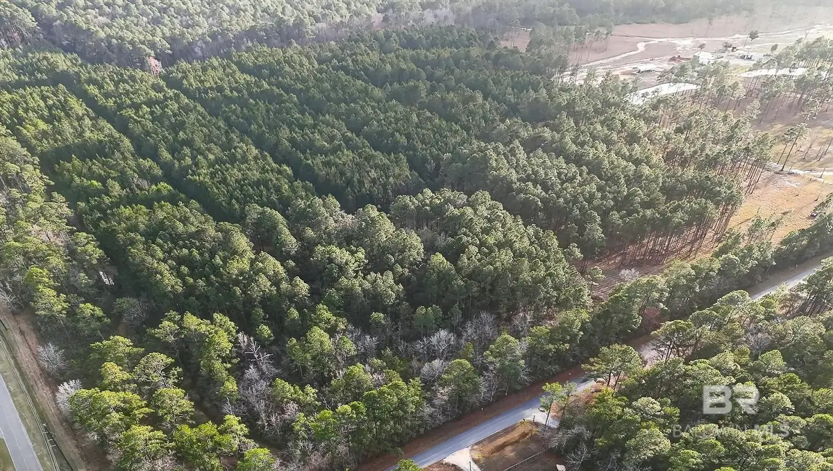 0 Hemley Road, Coden, AL 36523 - #1
