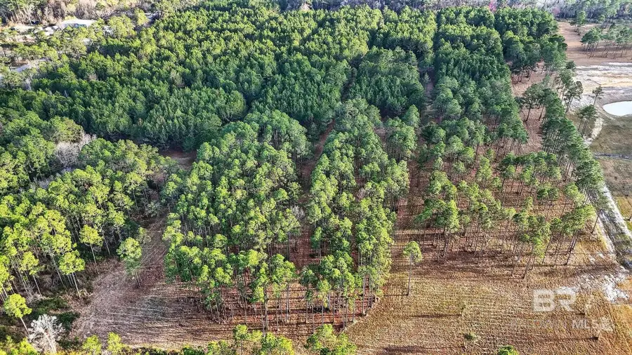 0 Hemley Road, Coden, AL 36523 - #2