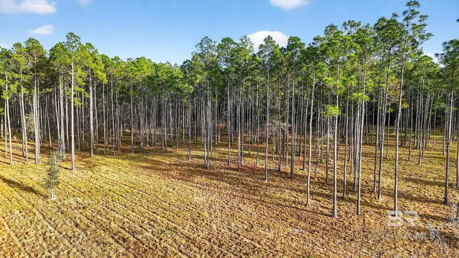0 Hemley Road, Coden, AL 36523 - #3