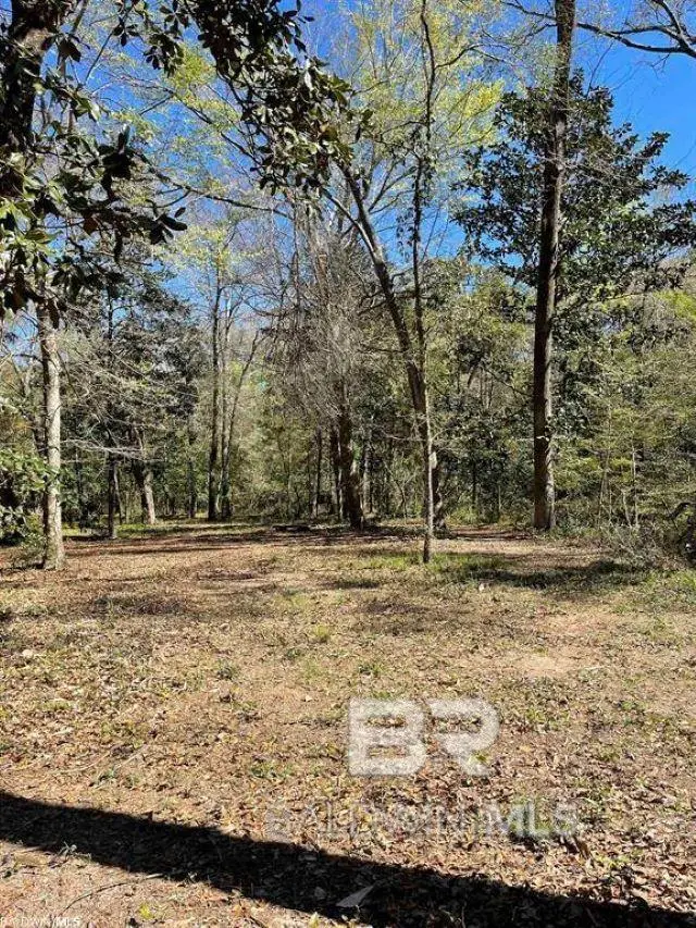 0 Pensacola Avenue, Fairhope, AL 36532 - #3