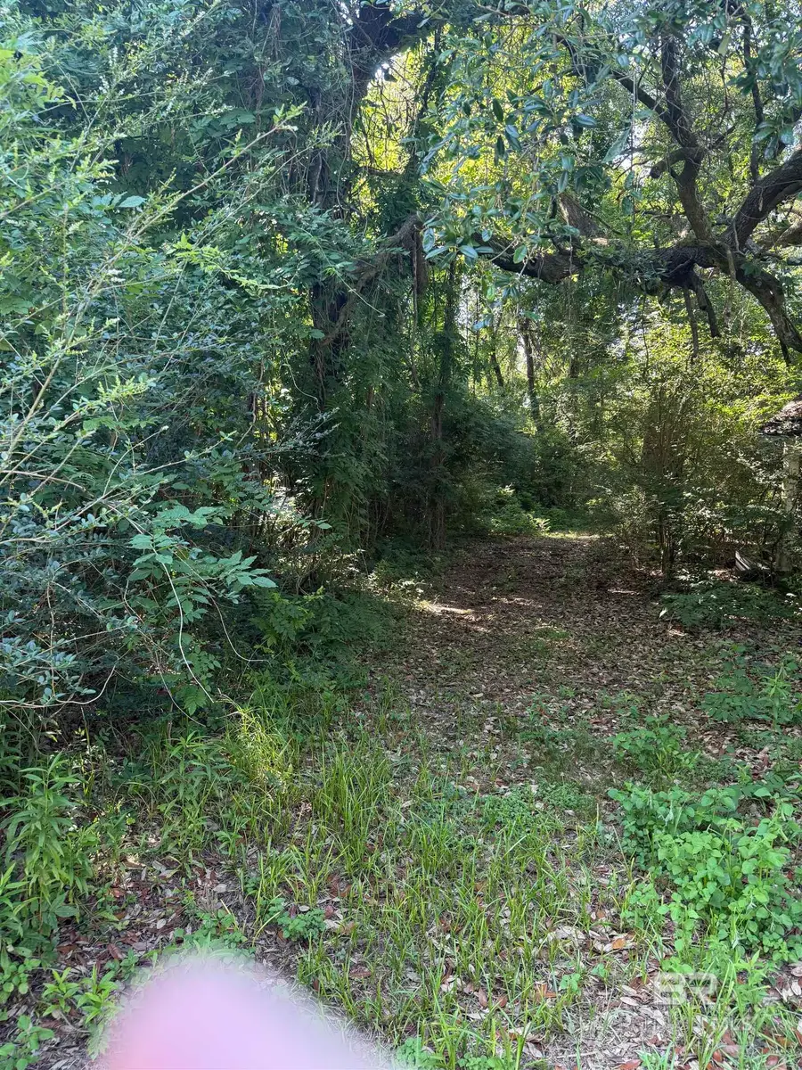 13259 Woodhaven Dairy Road, Silverhill, AL 36576 - #3