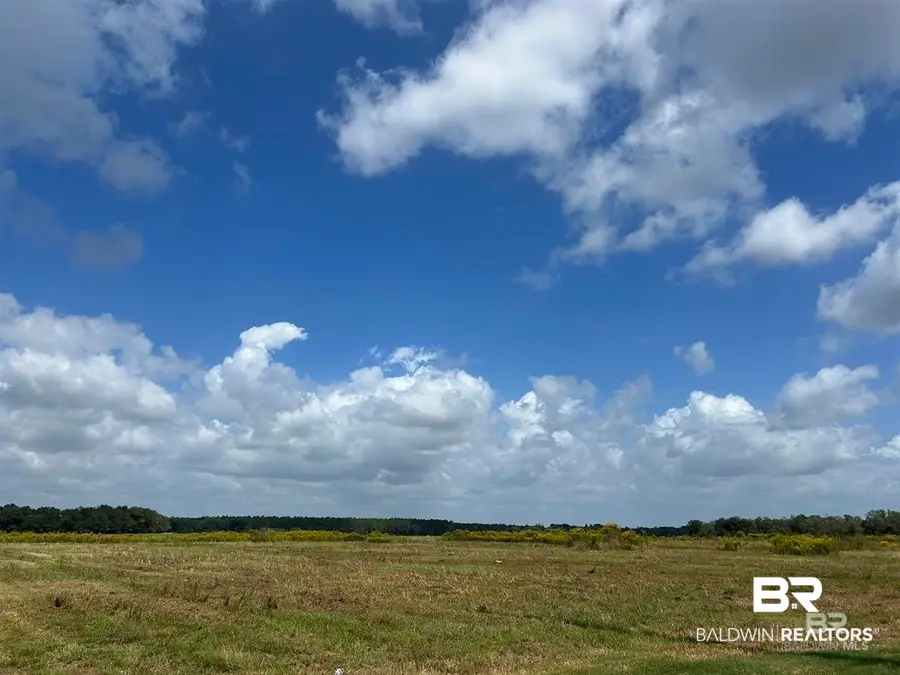 0 County Road 26, Foley, AL 36525 - #3