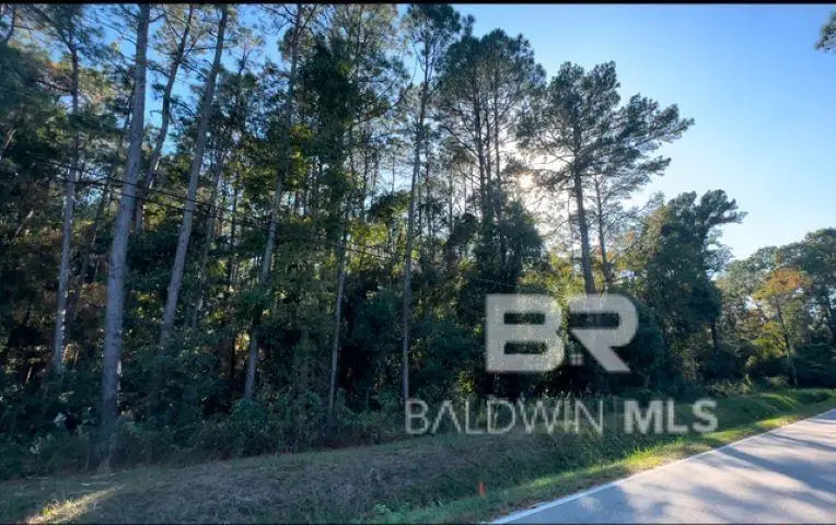 0 Higgins Road, Mobile, AL 36619 - #1