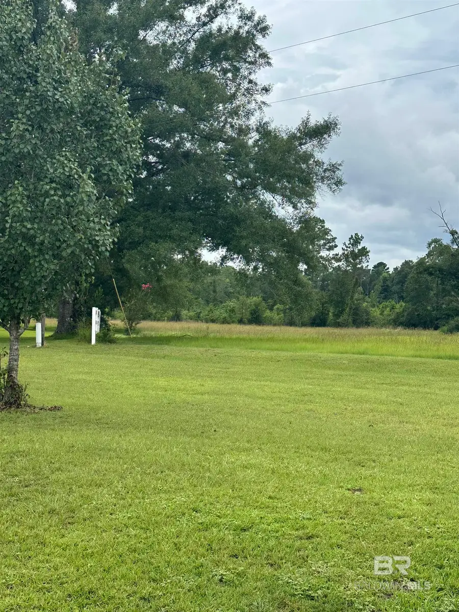 52671 Martin Hadley Lane, Perdido, AL 36562 - #2