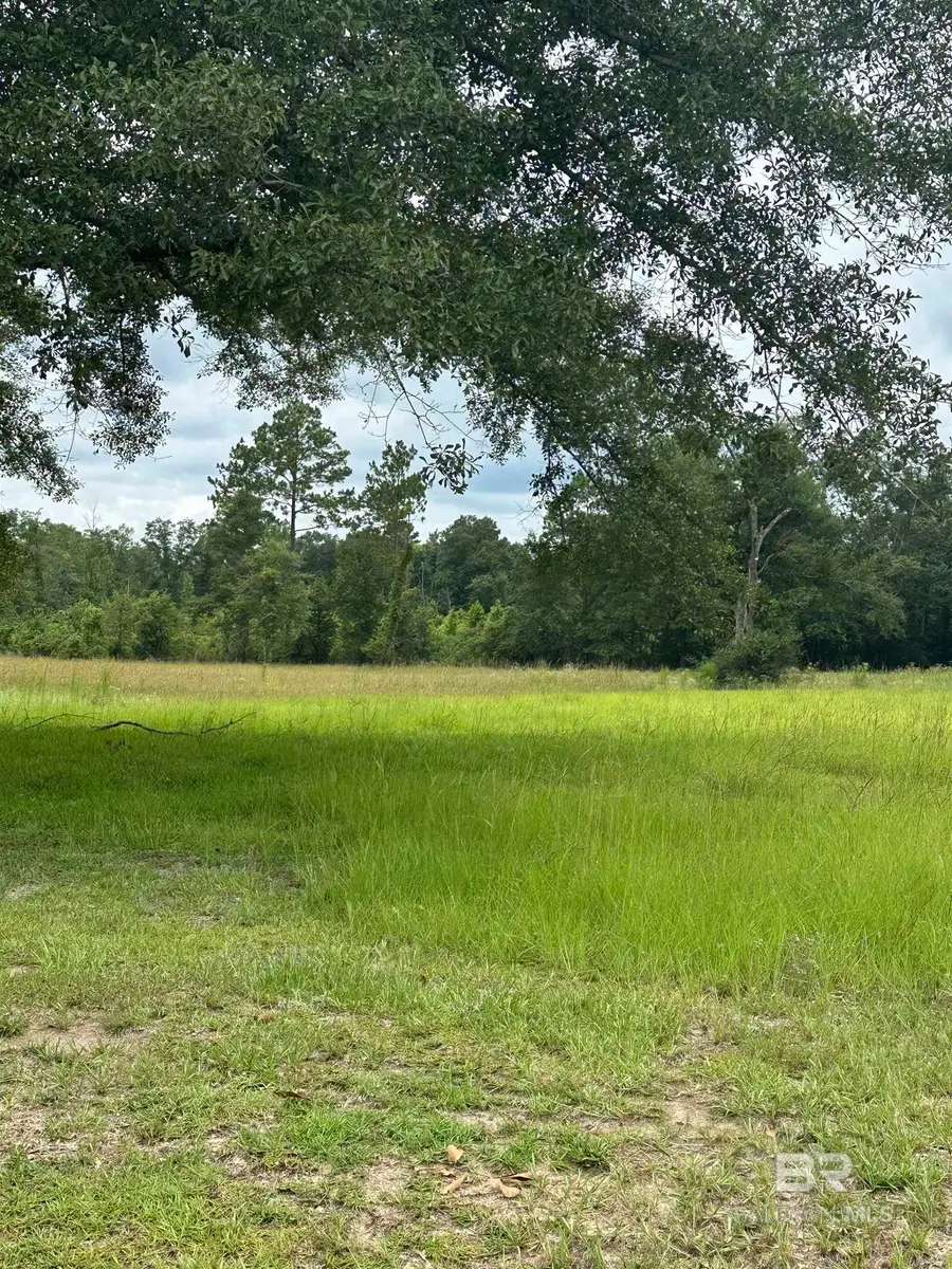 52671 Martin Hadley Lane, Perdido, AL 36562 - #3