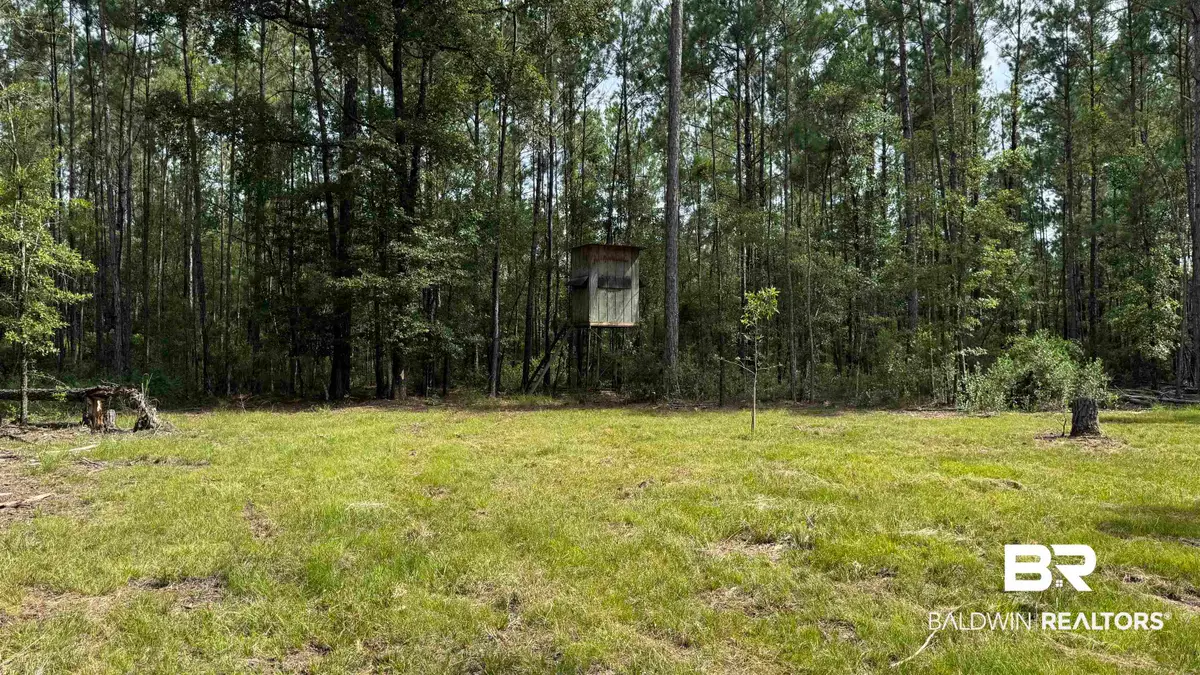 66409 James Road, Stockton, AL 36579 - #1