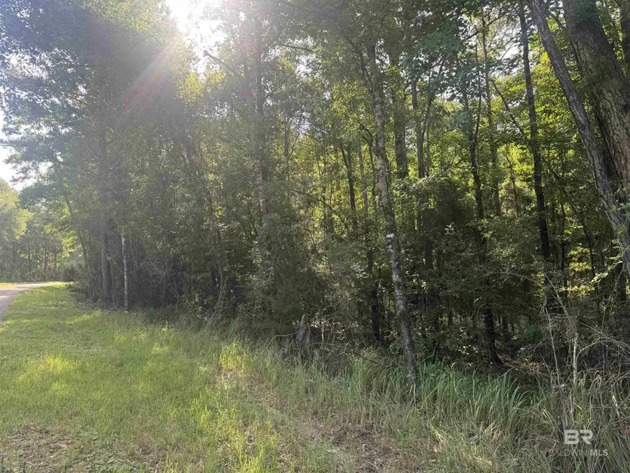 0 Rice Creek Road, Stockton, AL 36579 - #2