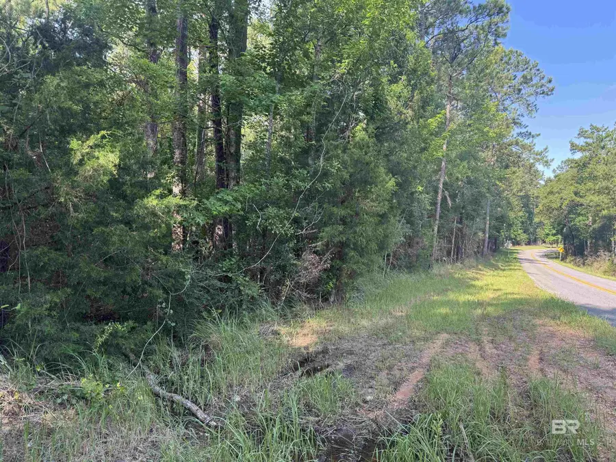 0 Rice Creek Road, Stockton, AL 36579 - #3
