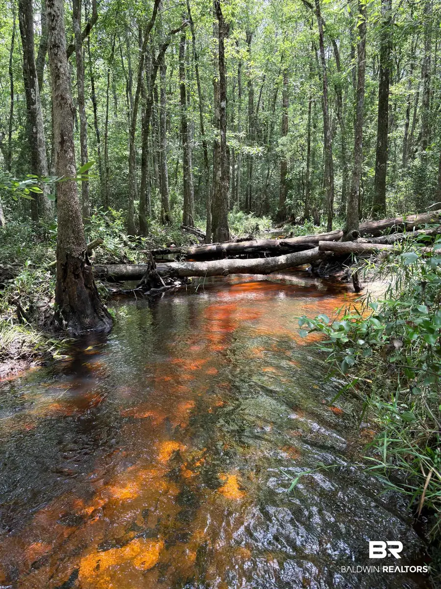 15976 Cochran Road, Citronelle, AL 36522 - #2