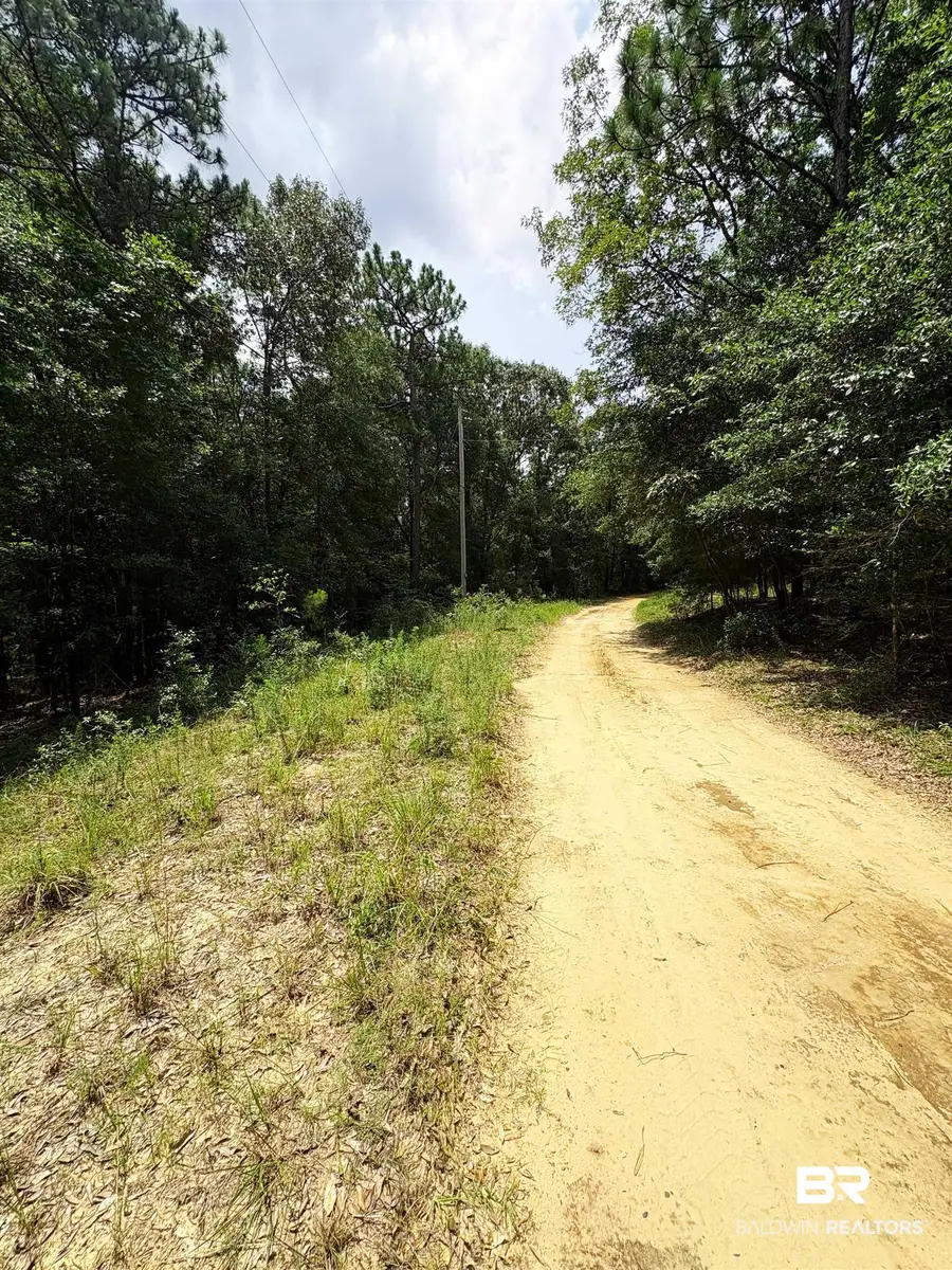 15976 Cochran Road, Citronelle, AL 36522 - #3