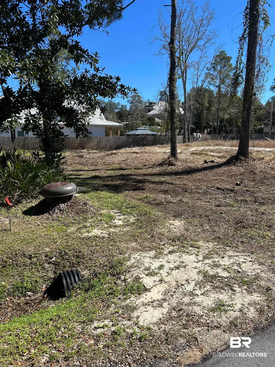 5636 Georgia Street, Orange Beach, AL 36561 - #3