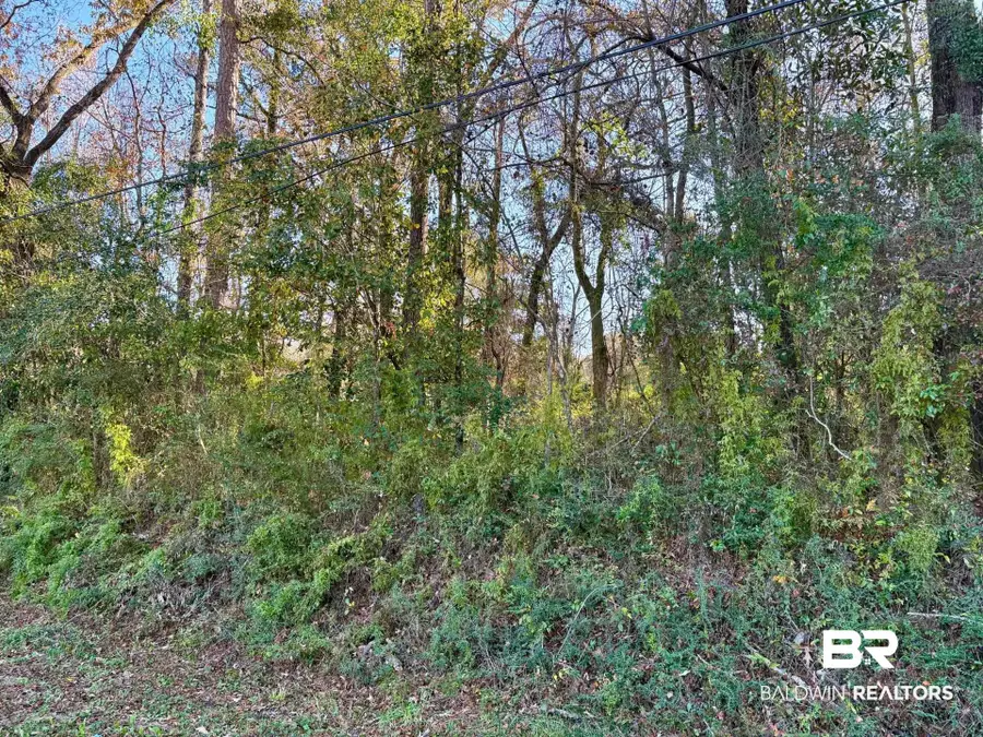 0 Brady Road, Bay Minette, AL 36507 - #2