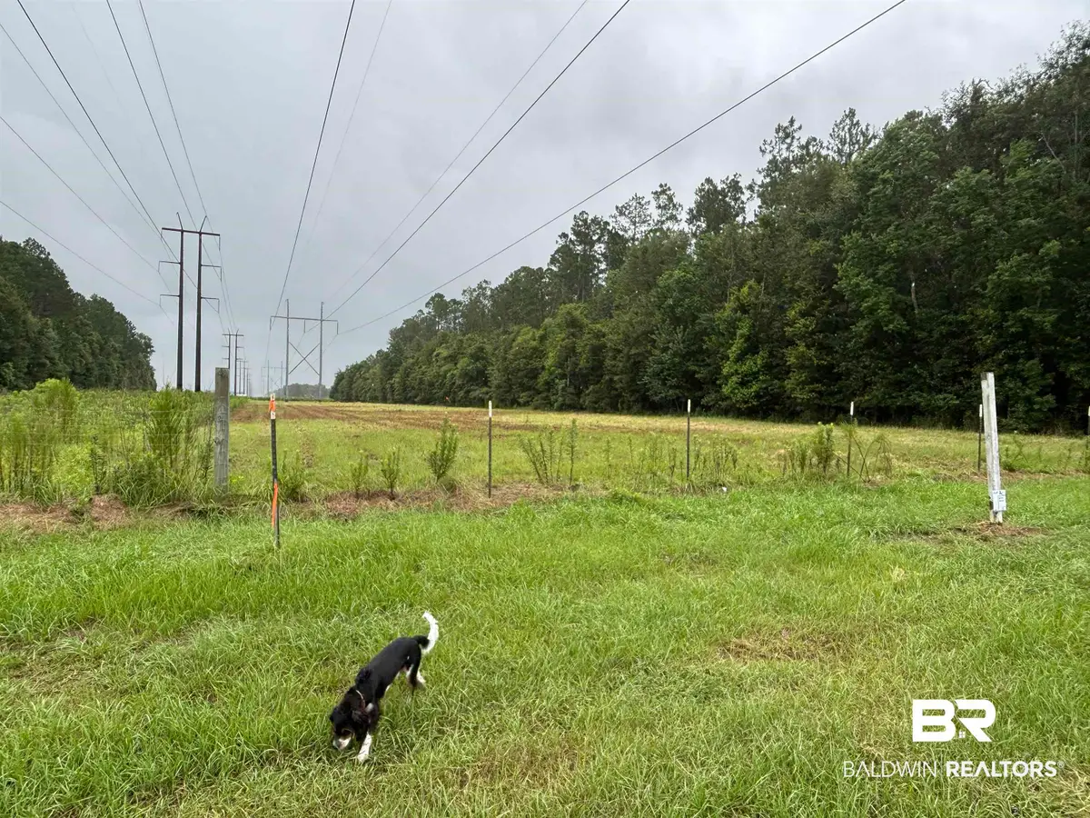 Lot 1 County Road 48, Robertsdale, AL 36567 - #1