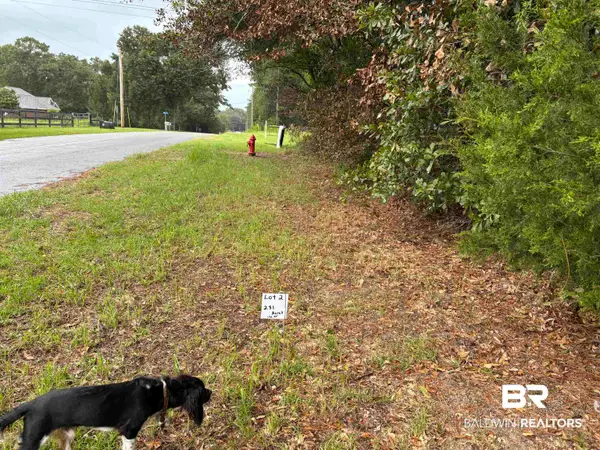 Lot 2 County Road 48, Robertsdale, AL 36567