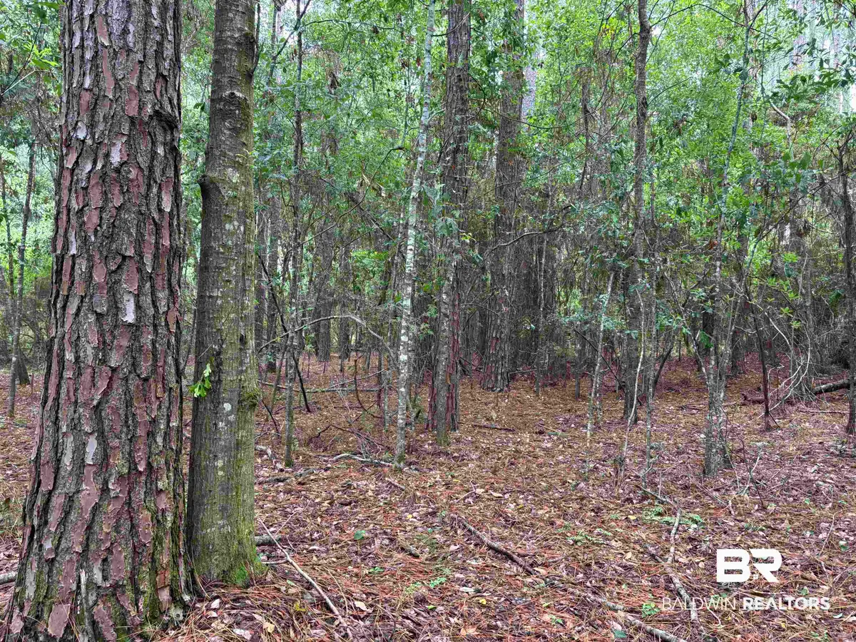 Lot 5 County Road 48, Robertsdale, AL 36567 - #1