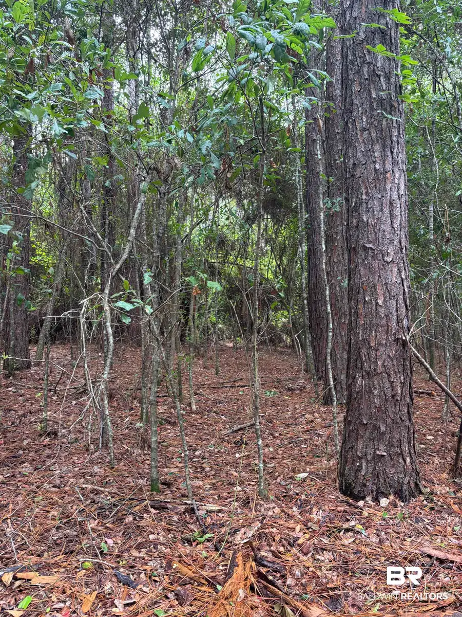 Lot 5 County Road 48, Robertsdale, AL 36567 - #2