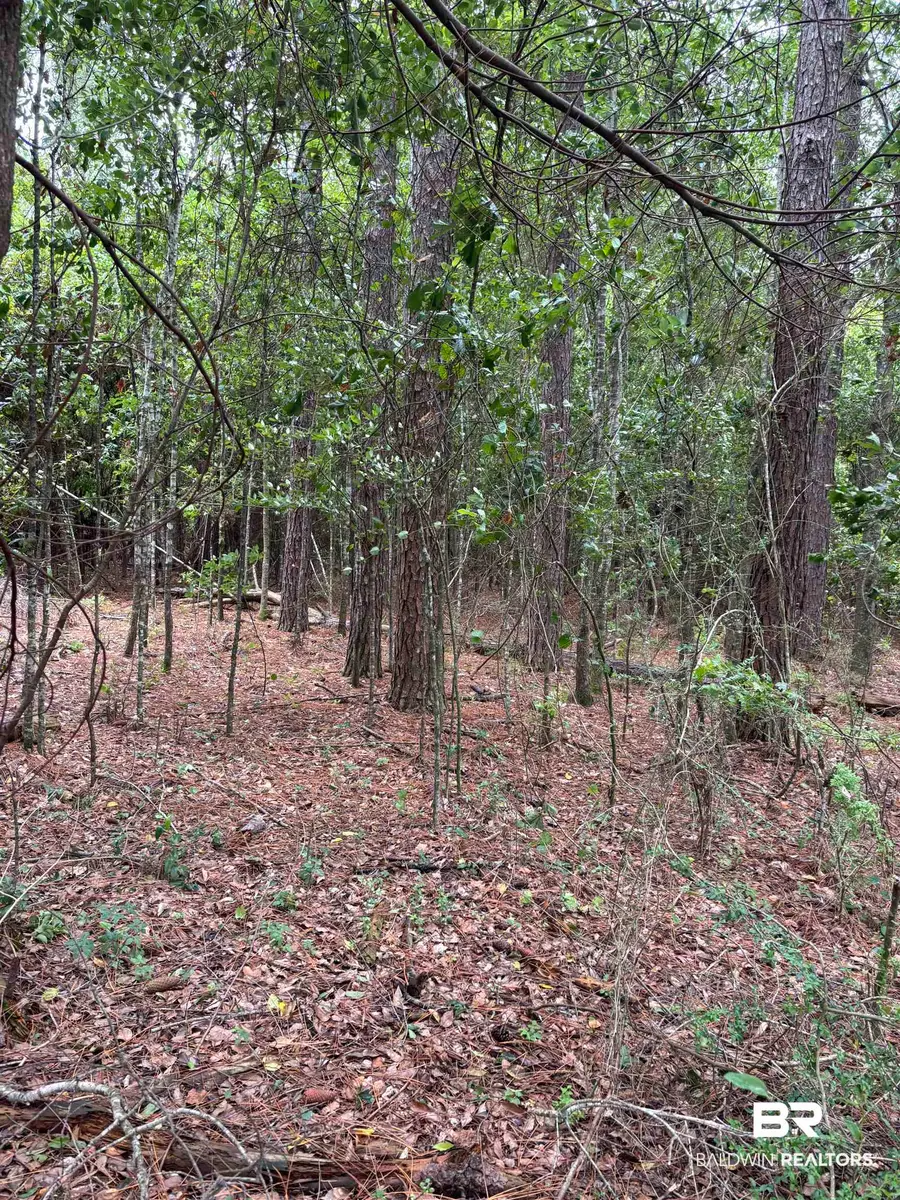 Lot 5 County Road 48, Robertsdale, AL 36567 - #3