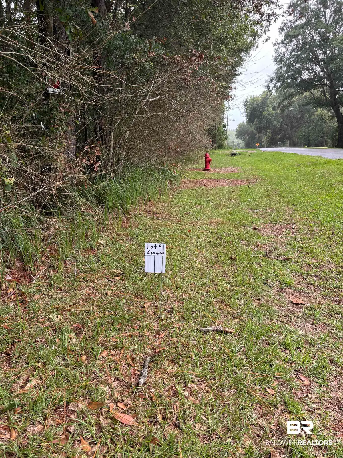 Lot 6 County Road 48, Robertsdale, AL 36567 - #1