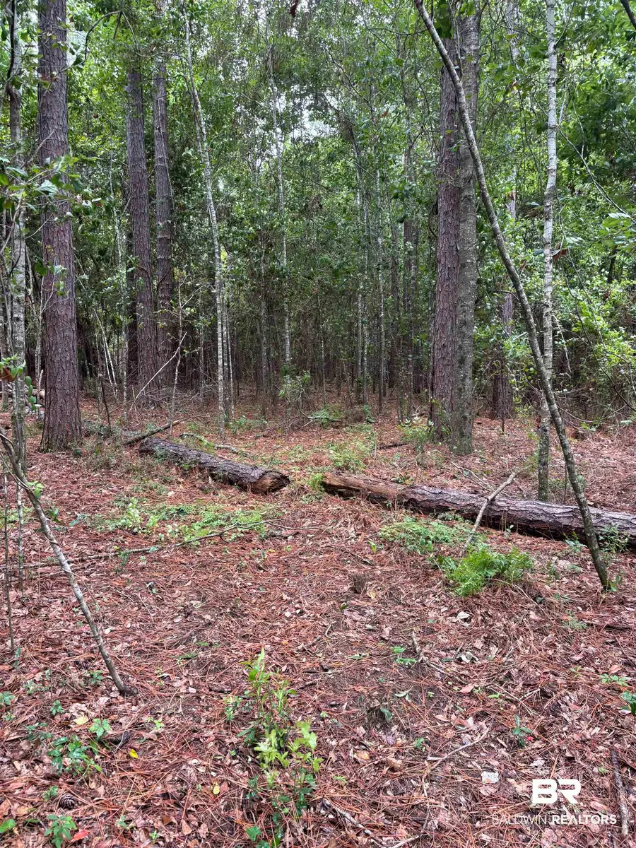 Lot 7 County Road 48, Robertsdale, AL 36567 - #3