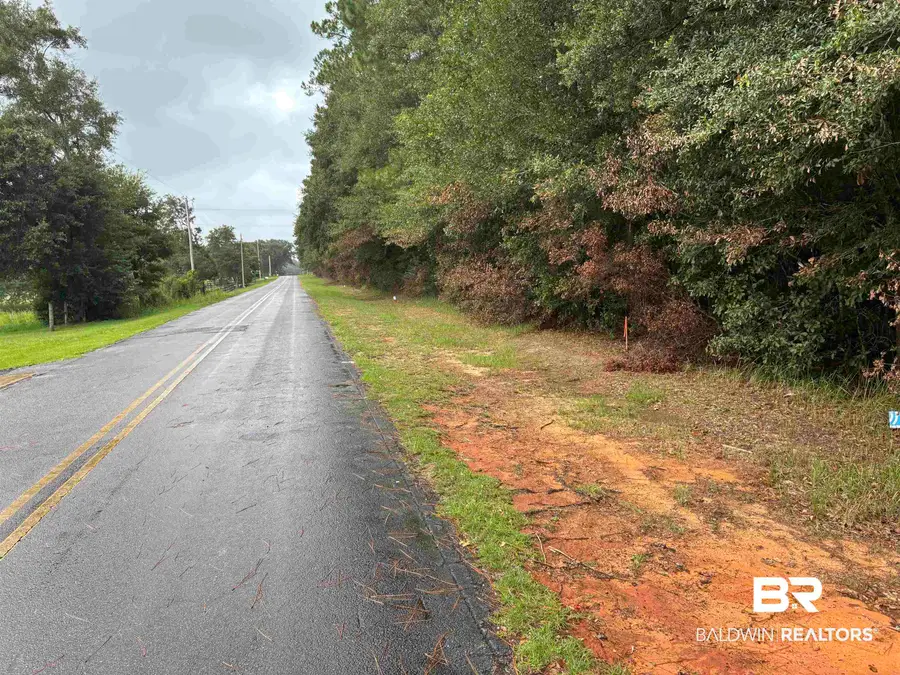 Lot 8 County Road 48, Robertsdale, AL 36567 - #2