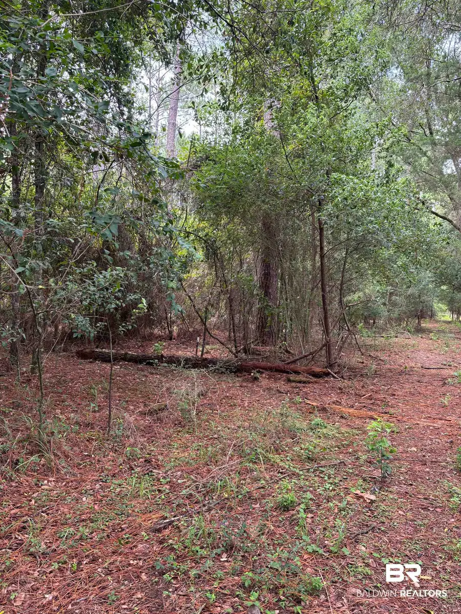 Lot 8 County Road 48, Robertsdale, AL 36567 - #3