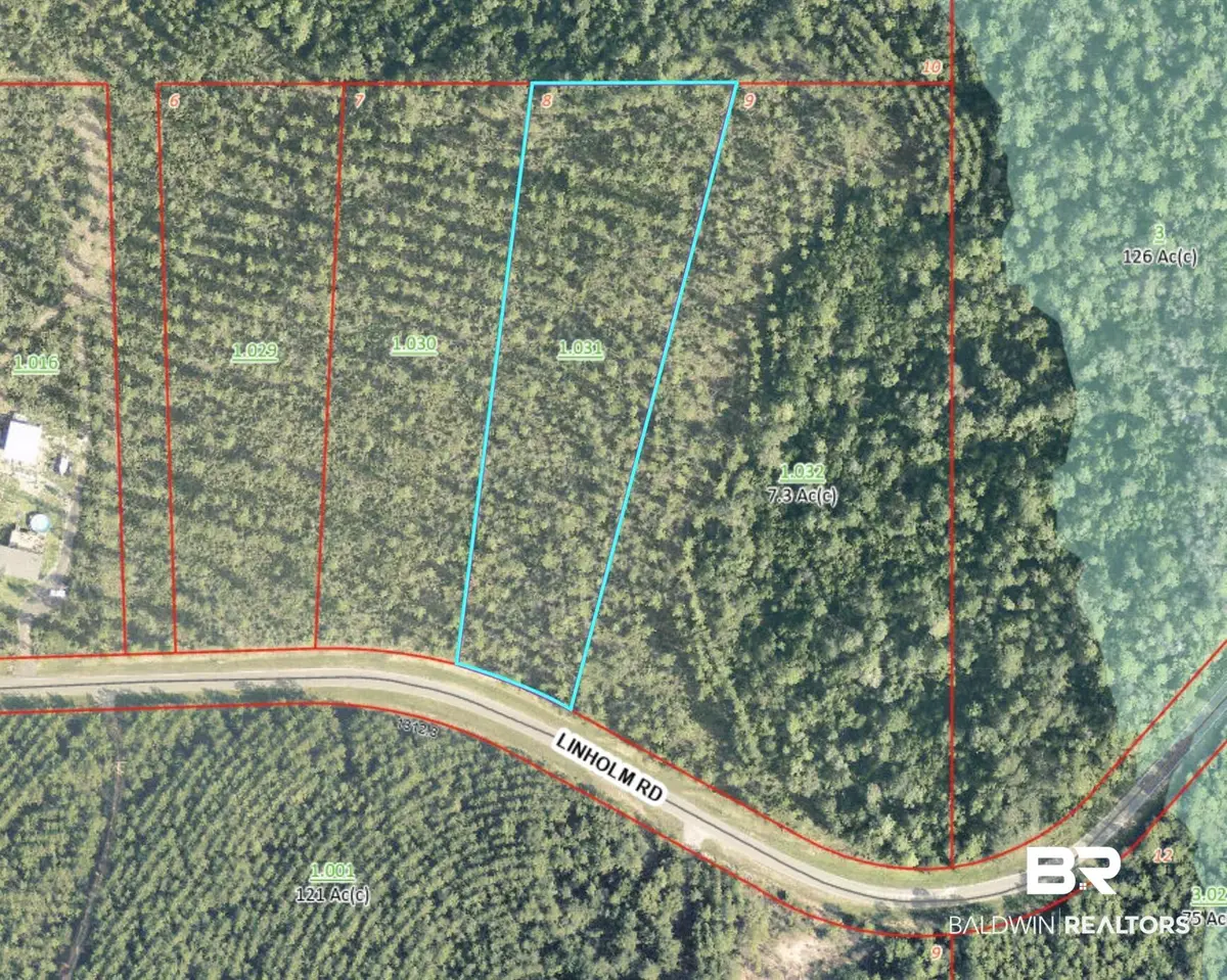 Linholm Road, Robertsdale, AL 36567 - #1