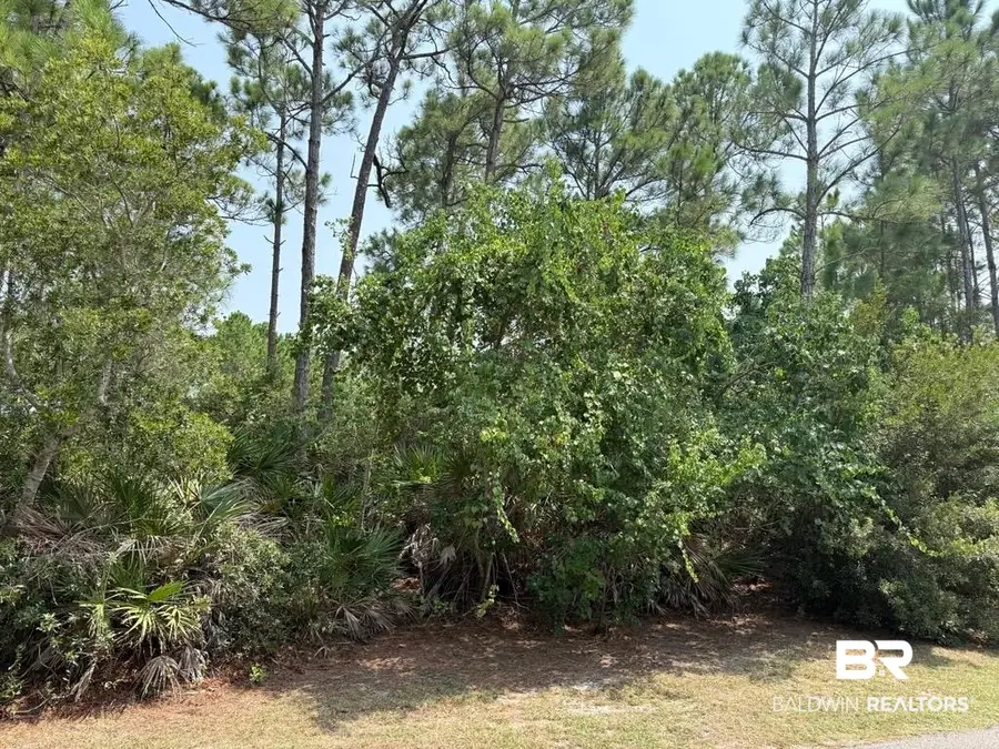 0 Lake Shore Drive, Gulf Shores, AL 36542 - #2