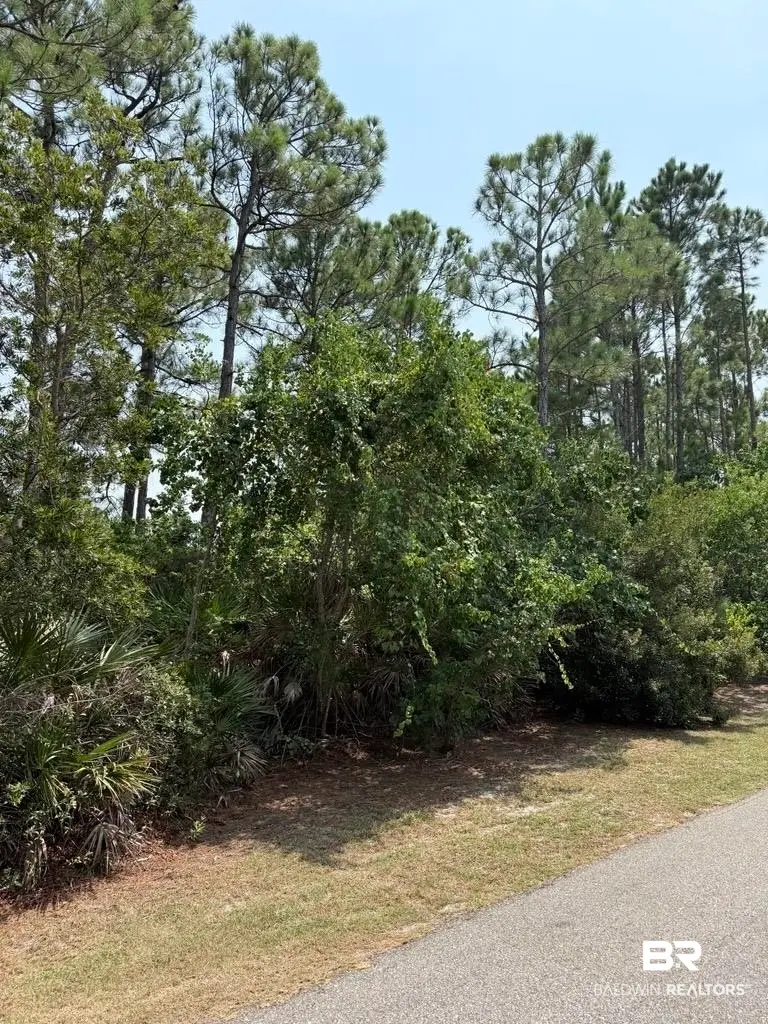0 Lake Shore Drive, Gulf Shores, AL 36542 - #3