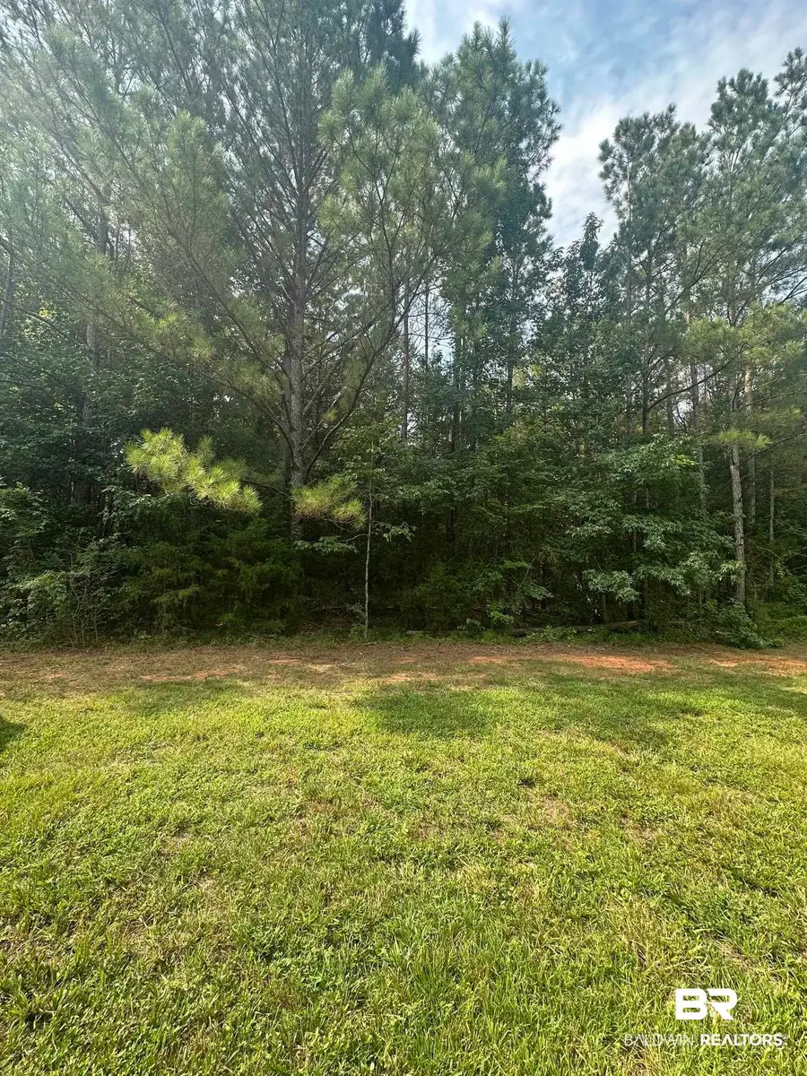 0 Main Street, Mosses, AL 36040 - #3