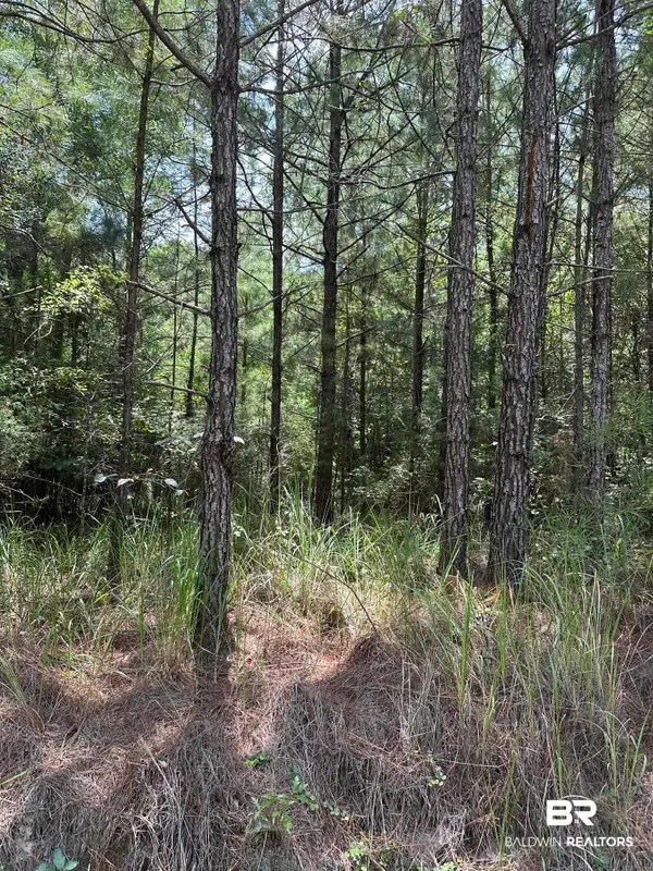 110 Frannce City Road, Millry, AL 36558