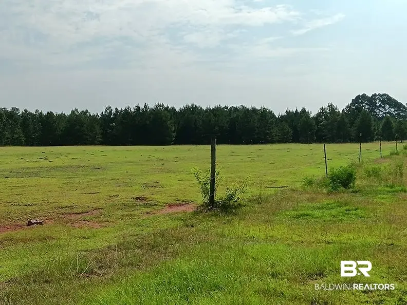 21379 Ima Brill Lane, Robertsdale, AL 36567 - #2
