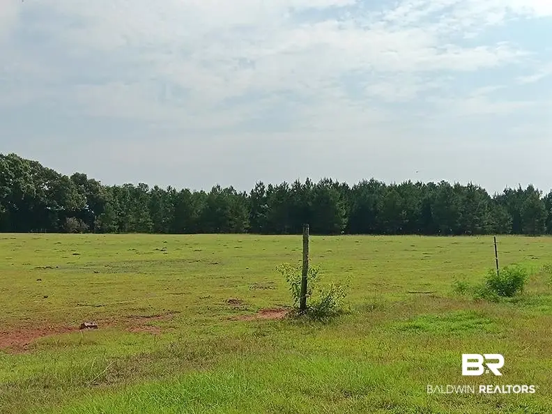 21379 Ima Brill Lane, Robertsdale, AL 36567 - #3