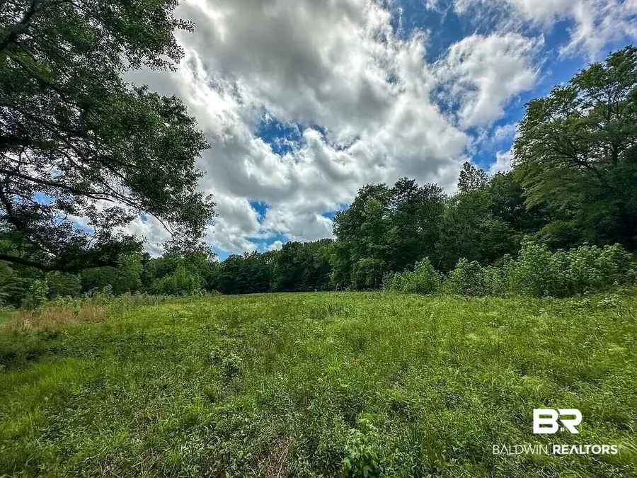 0 Loree Road Loree Road, Evergreen, AL 36401 - #2