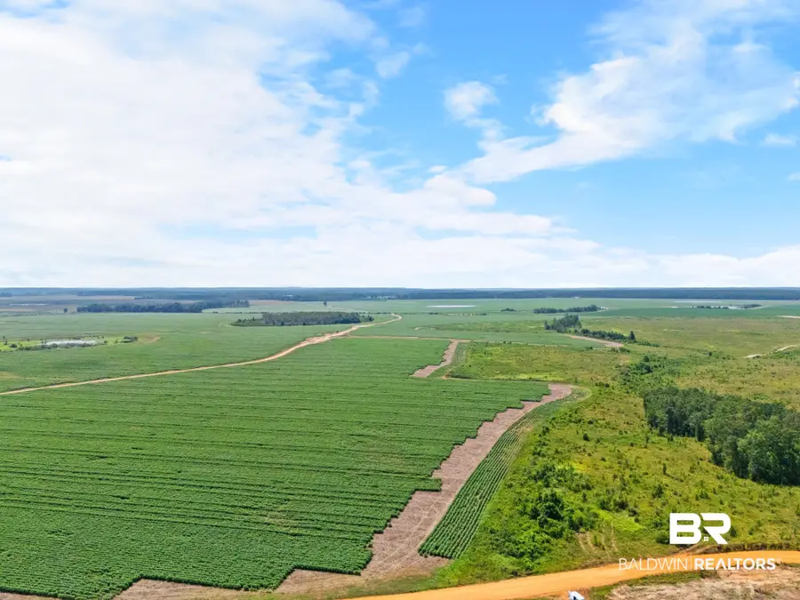 0 Manning Rd, Atmore, AL 36502 - #2
