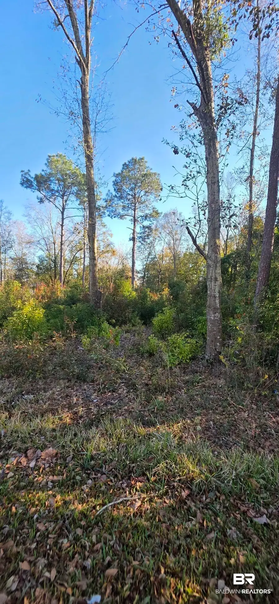 0 2nd Avenue, Foley, AL 36535 - #2