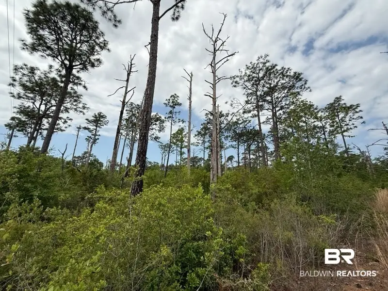 6589-2 Aegean Dr, Milton, FL 32583 - #2