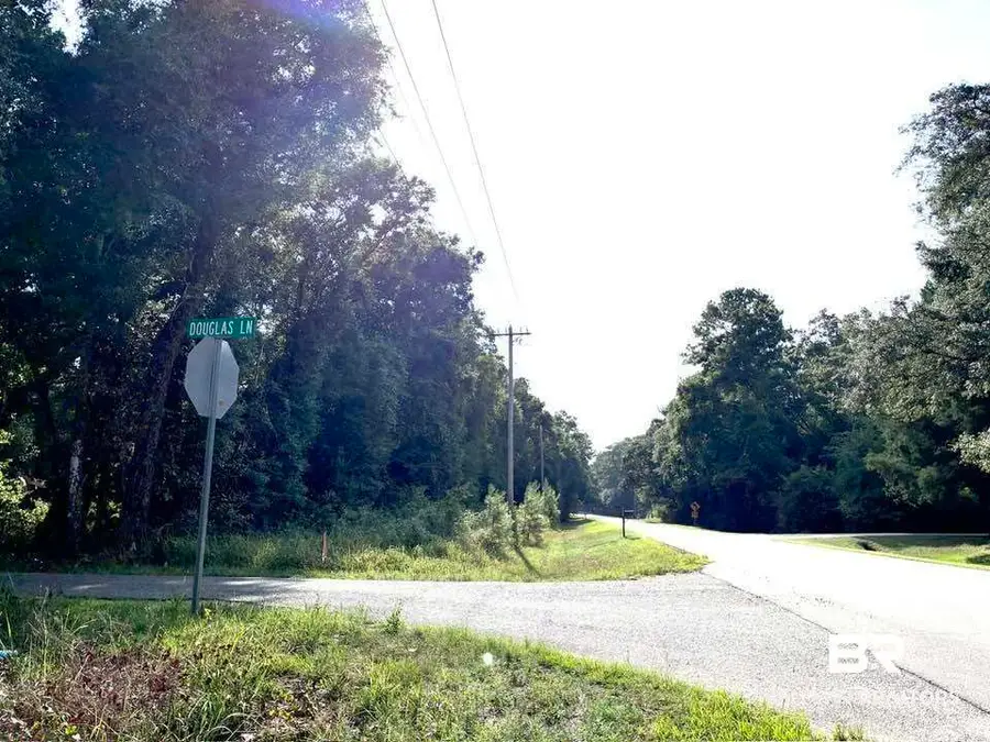 13511 Douglas Lane, Foley, AL 36535 - #2