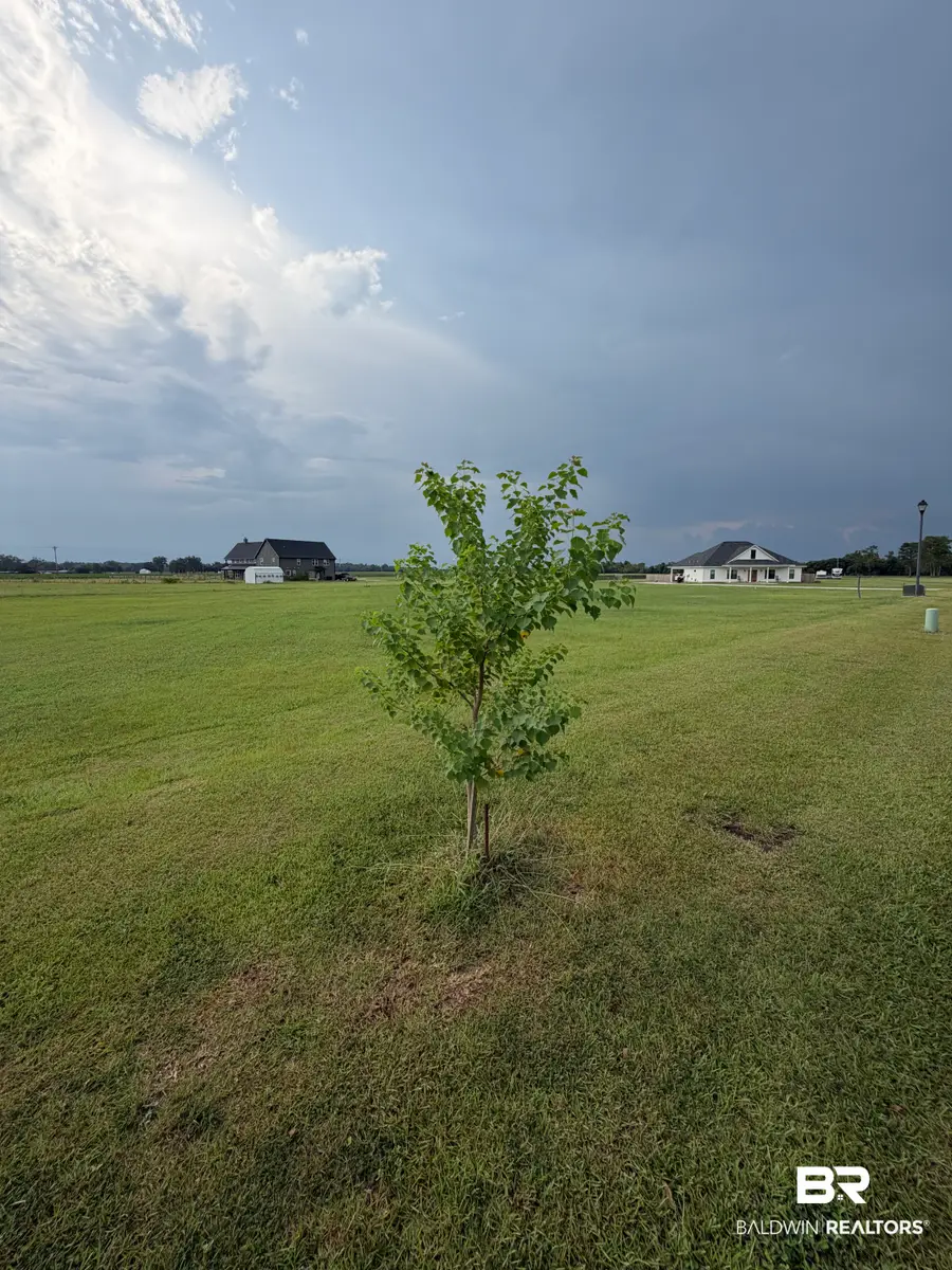 0 Valamour Boulevard, Loxley, AL 36551 - #3