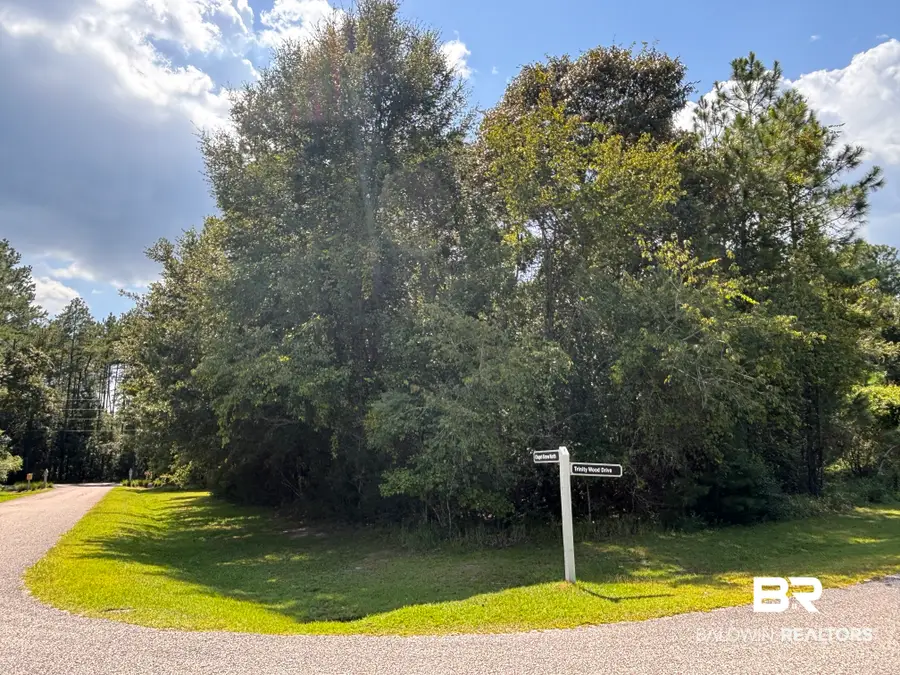 Lot 22 Chapel Grove, Loxley, AL  - #2